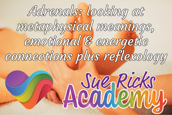 Adrenals - looking at metaphysical meanings, emotional and energetic connections plus reflexology.